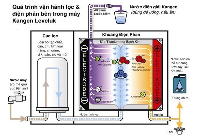 Quy trình lọc nước của máy ion kiềm Kangen K8