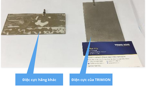 Các tấm điện cực của TRIM ION được làm bằng kim loại hiếm Titan phủ Platin (bạch kim)