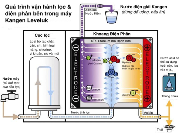  Cơ chế lọc nước Của Máy Lọc Nước Kangen Leveluk SD501 Platinum