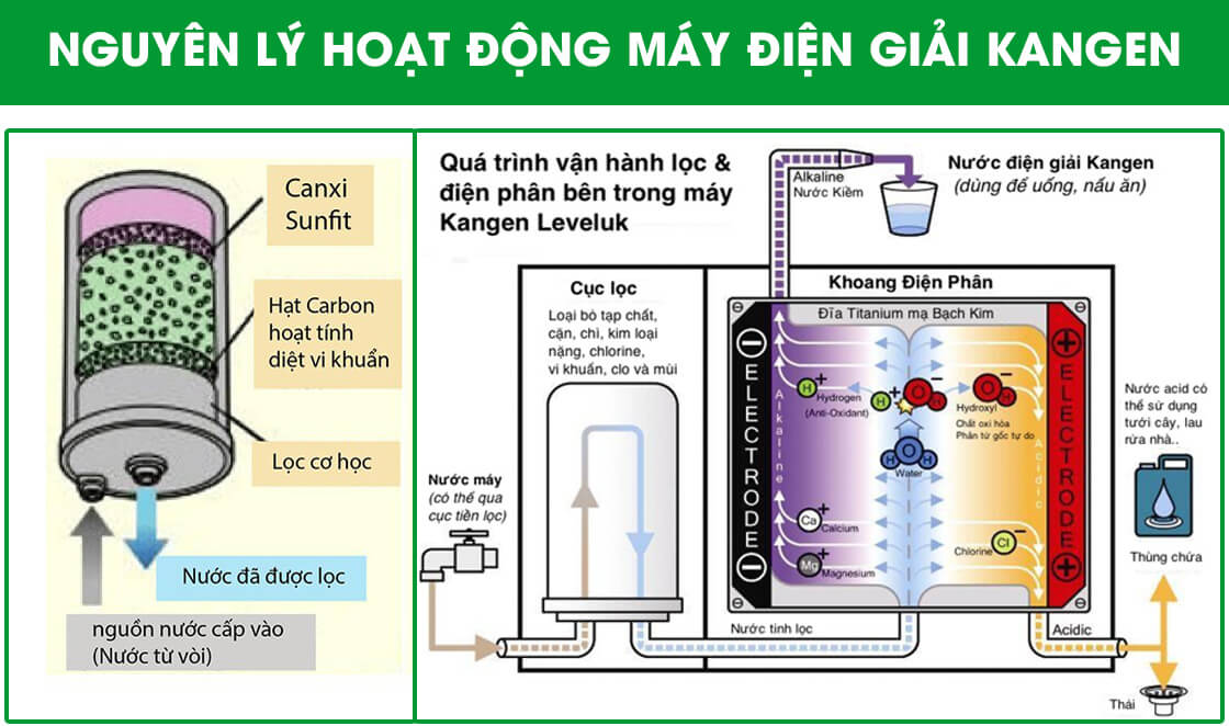 Nguyên lý hoạt động của máy lọc nước ion kiềm Kangen