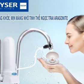 Máy lọc gắn vòi để bàn Geyser 1UH Euro