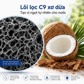 Máy lọc nước Coway P-300R