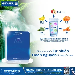 Geyser Ecotar 9 Slim T cung cấp nhiều chất chống oxy hóa tốt cho cơ thể