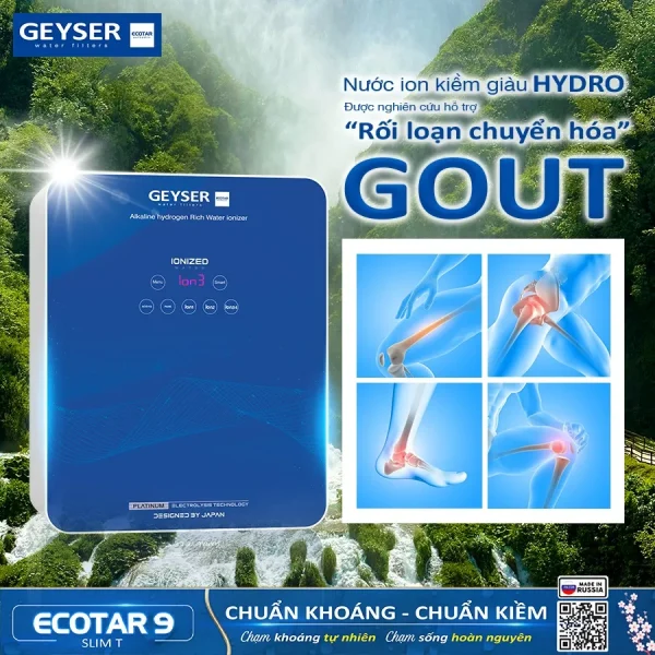 Geyser Ecotar 9 Slim T hỗ trợ ngăn ngừa biến chứng bệnh Gout