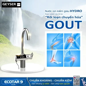 Hỗ trợ chống rối loạn chuyển hóa ngừa gout