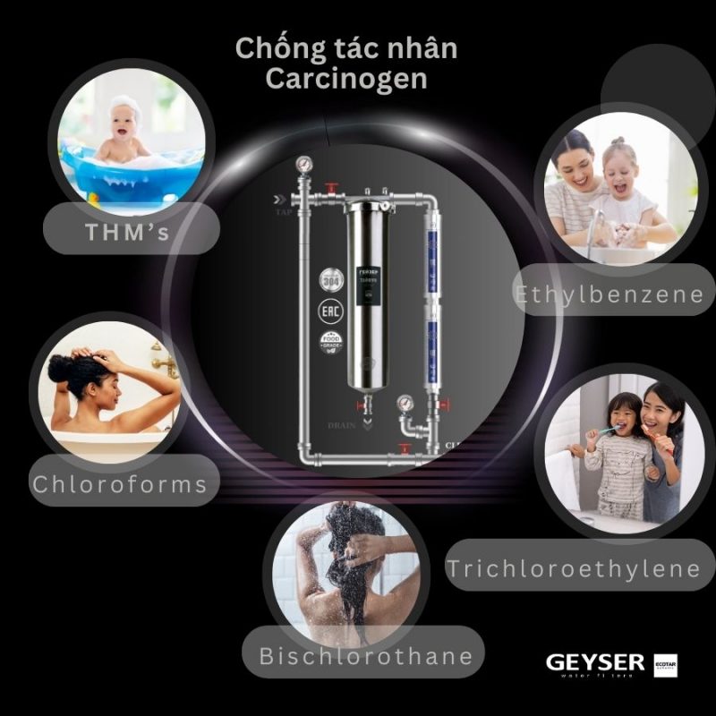 Hệ thống lọc nước tổng đầu nguồn Geyser Ecotar 1F2A