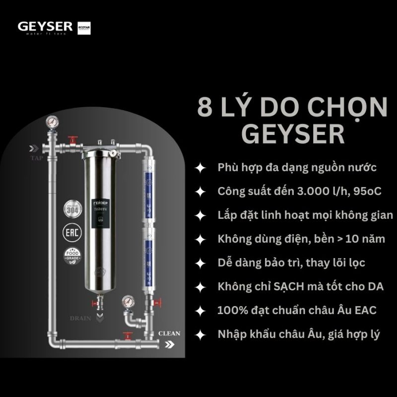 Hệ thống lọc nước tổng đầu nguồn Geyser Ecotar 1F2A