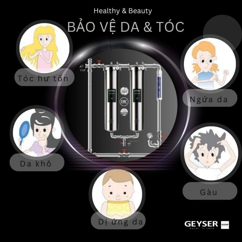 Hệ thống lọc nước tổng đầu nguồn Geyser Ecotar 2F1A