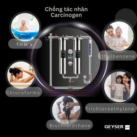 Hệ thống lọc nước tổng đầu nguồn Geyser Ecotar 2F1A
