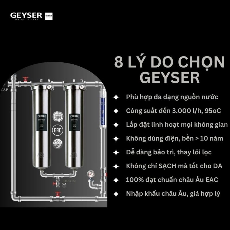 Hệ thống lọc nước tổng đầu nguồn Geyser Ecotar 2F1A