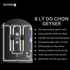 Hệ thống lọc nước tổng đầu nguồn Geyser Ecotar 2F2A