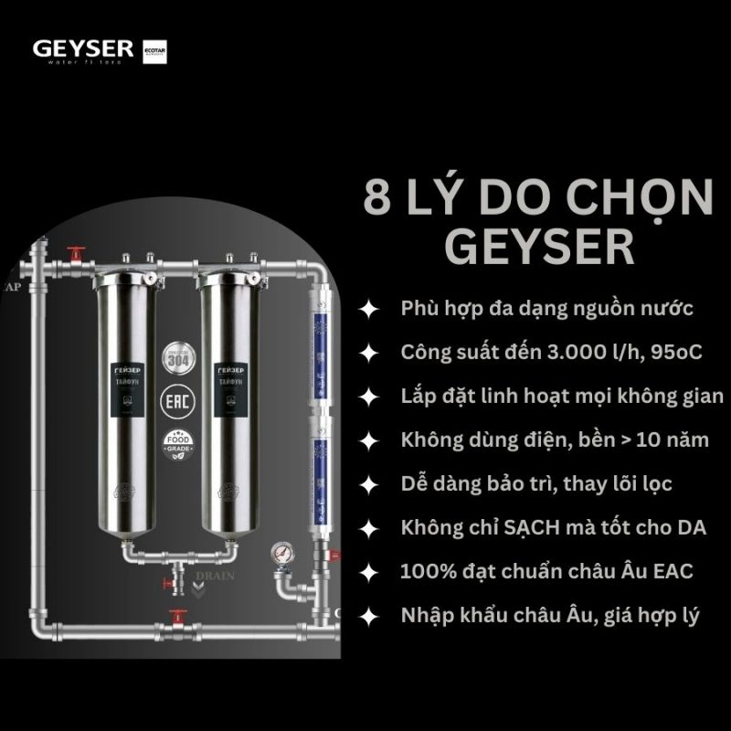 Hệ thống lọc nước tổng đầu nguồn Geyser Ecotar 2F2A