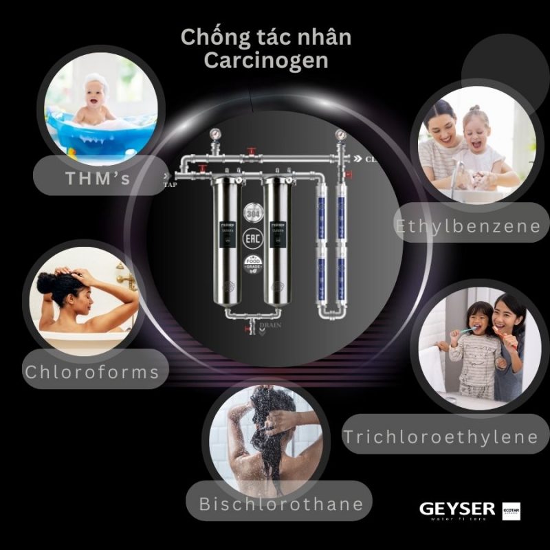 Hệ thống lọc nước tổng đầu nguồn Geyser Ecotar 2F4A