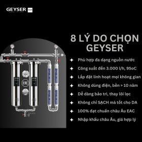 Hệ thống lọc nước tổng đầu nguồn Geyser Ecotar 2F4A