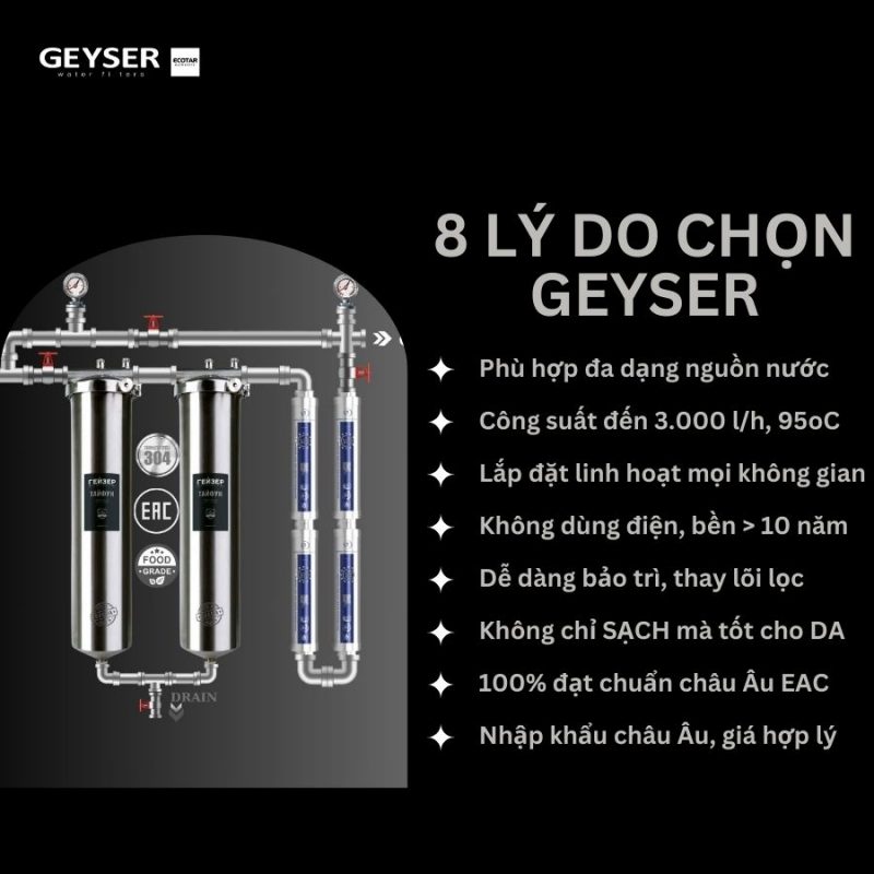 Hệ thống lọc nước tổng đầu nguồn Geyser Ecotar 2F4A