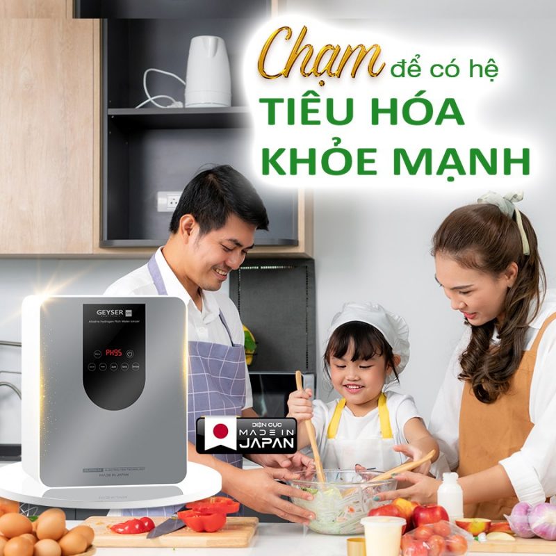 Máy lọc nước ion kiềm giàu hydro Geyser Ecotar 9 Pro