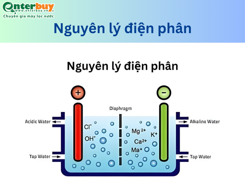 Nguyên lý điện phân của máy lọc Ion kiềm