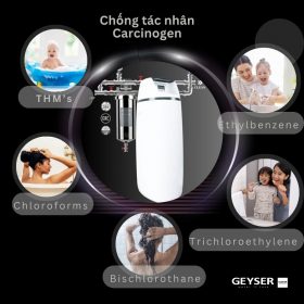 Hệ thống lọc nước tổng đầu nguồn làm mềm nước Geyser Ecotar 1F10S