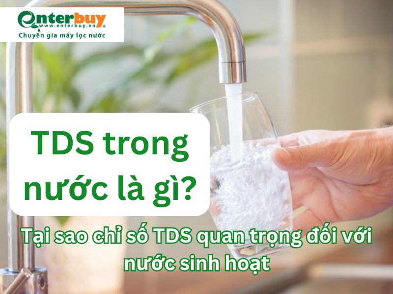 Chỉ số TDS là gì? Tại sao lại quan trọng với nước sinh hoạt 
