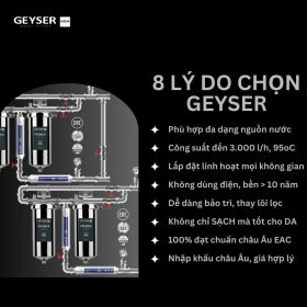 Lọc tổng đầu nguồn âm trần chất lượng cho Penthouse Geyser Ecotar 4F4As