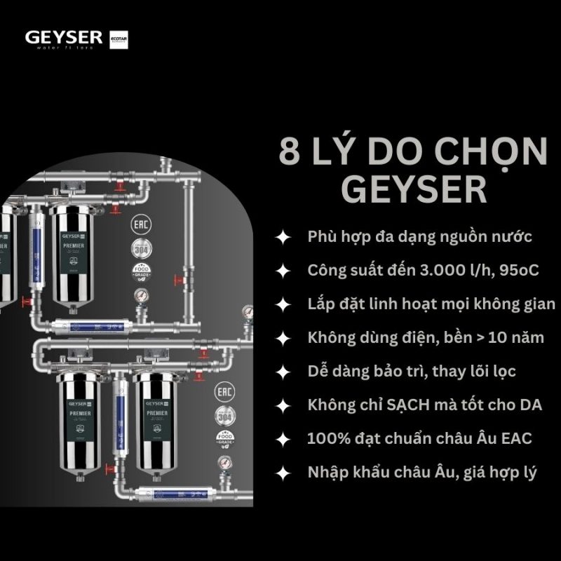Lọc tổng đầu nguồn âm trần chất lượng cho Penthouse Geyser Ecotar 4F4As