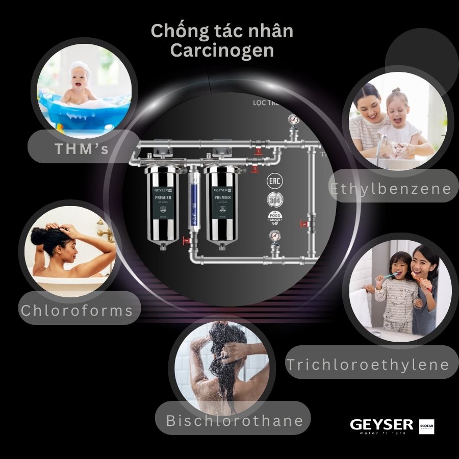 Lọc tổng đầu nguồn âm trần trên đường ống 2F1As chống tác nhân gây hại