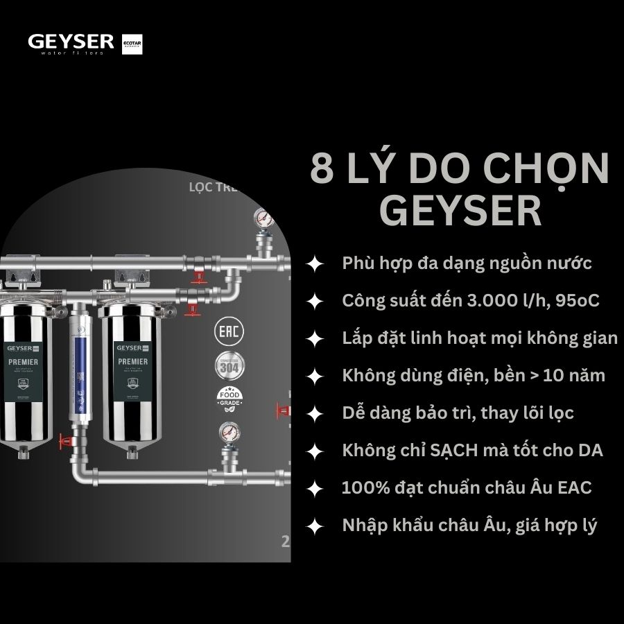 Lý do nên lắp lọc tổng đầu nguồn cho chung cư nước nóng nguội trực tiếp Geyser Ecotar 2F1As