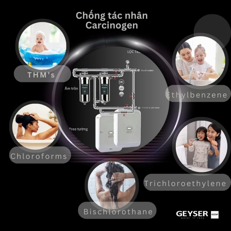 Lọc tổng đầu nguồn trên đường ống lắp âm trần cho căn hộ chung cư Geyser Ecotar 2F2Ss