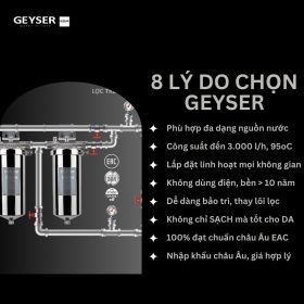 Lọc tổng đầu nguồn âm trần cho căn hộ chung cư Geyser Ecotar 2Fs