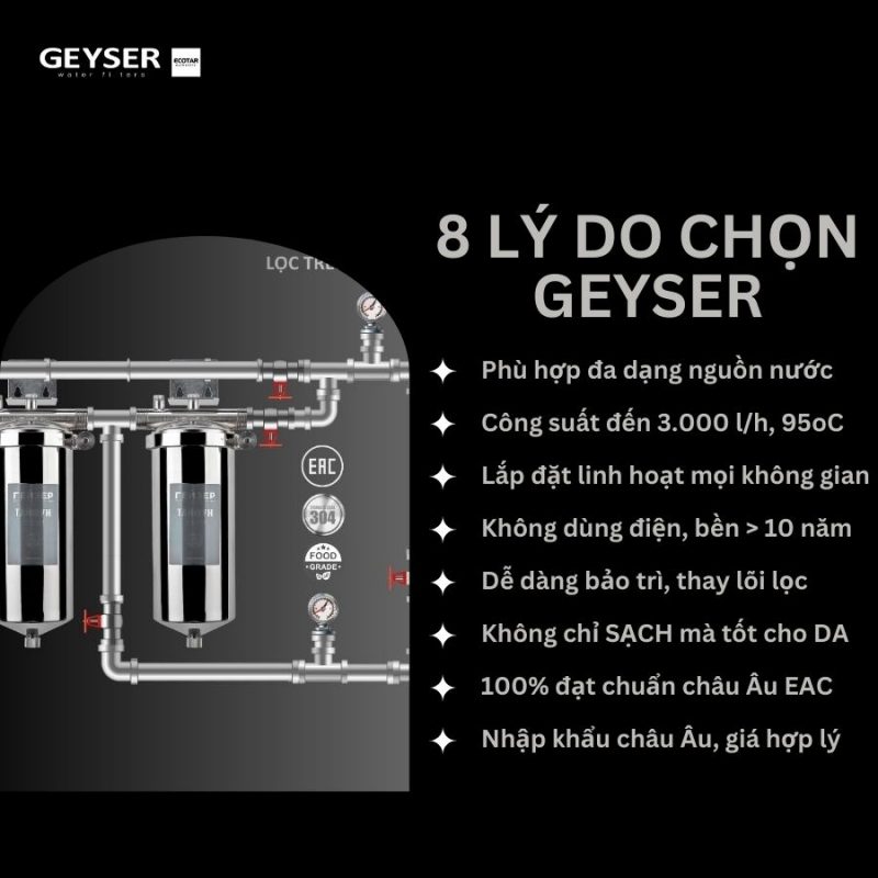 Lọc tổng đầu nguồn âm trần cho căn hộ chung cư Geyser Ecotar 2Fs