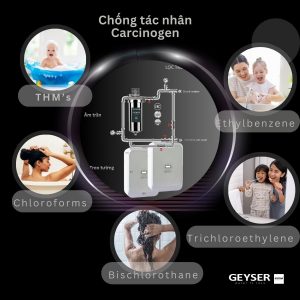 Lọc tổng âm trần trên đường ống Geyser Ecotar 1F2Ss loại bỏ tác nhân gây hại