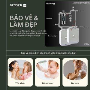 Lọc tổng âm trần trên đường ống Geyser Ecotar 1F2Ss chăm sóc da tóc toàn diện