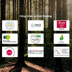 Các giải thưởng mà Philips đã đạt được