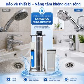 Bộ lọc tổng đầu nguồn gia đình KG1054TL1C-INOX, Van tự động, Xử lý Canxi