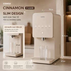 Máy lọc nước Coway Cinnamon P-6320R