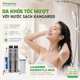 Bộ lọc tổng đầu nguồn gia đình KG1054TL2-INOX, Van tự động, Xử lý Canxi
