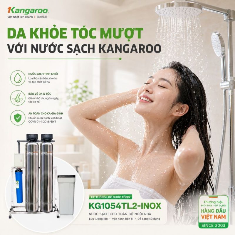 Bộ lọc tổng đầu nguồn gia đình KG1054TL2-INOX, Van tự động, Xử lý Canxi