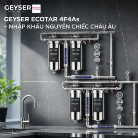 Lọc tổng đầu nguồn Geyser Ecotar 4F4As