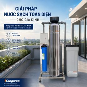 Bộ lọc tổng đầu nguồn gia đình KG1054TL1C-INOX, Van tự động, Xử lý Canxi
