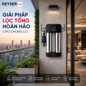 Lọc tổng đầu nguồn Geyser Ecotar 1F15UF