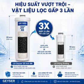 Lọc tổng đầu nguồn Geyser Ecotar 4F4As