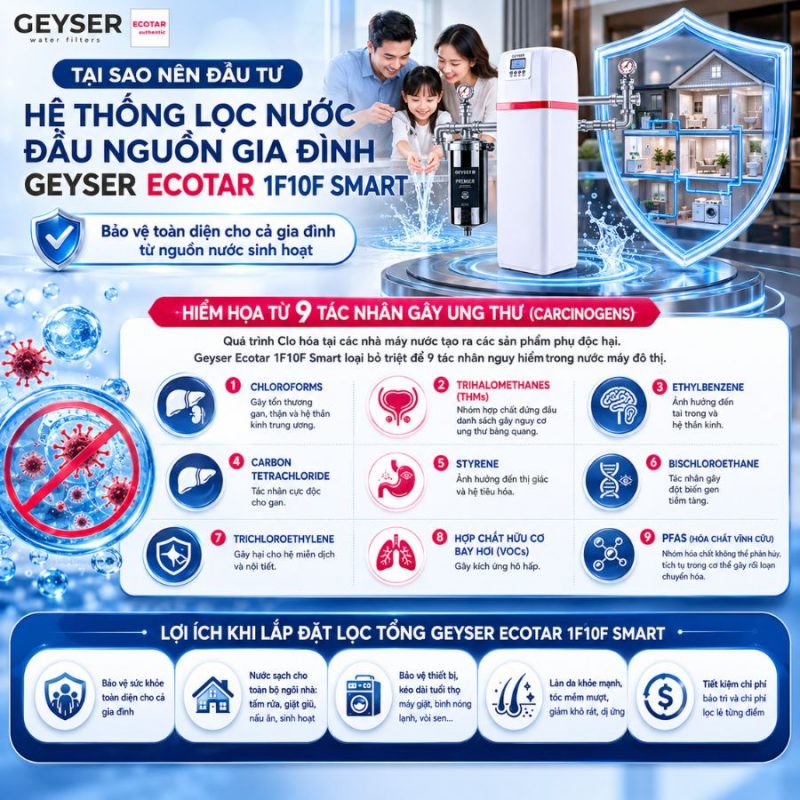 Lọc tổng đầu nguồn Geyser Ecotar 1F10F Smart
