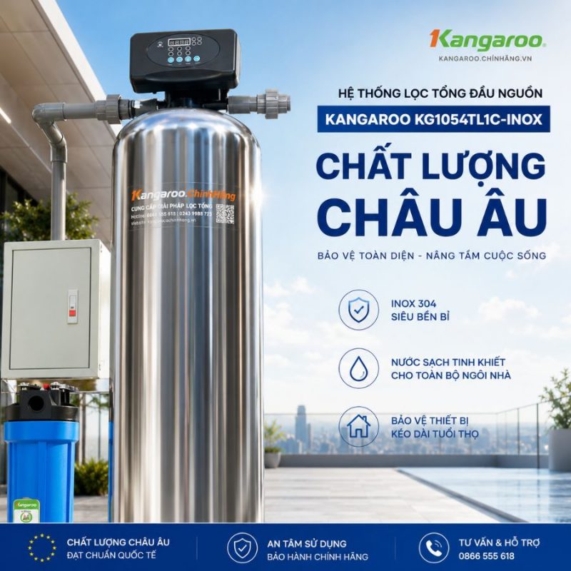 Bộ lọc tổng đầu nguồn gia đình KG1054TL1C-INOX, Van tự động, Xử lý Canxi
