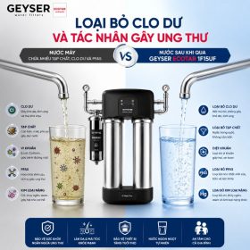 Lọc tổng đầu nguồn Geyser Ecotar 1F15UF