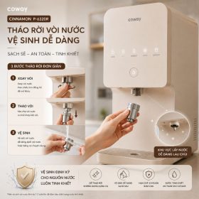Máy lọc nước Coway Cinnamon P-6320R