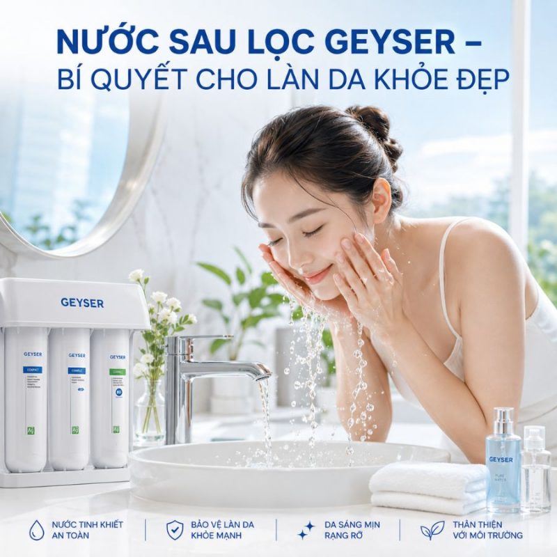 Lọc tổng đầu nguồn Geyser Ecotar 4F4As