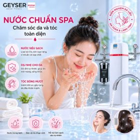 Lọc tổng đầu nguồn Geyser Ecotar 1F10F Smart