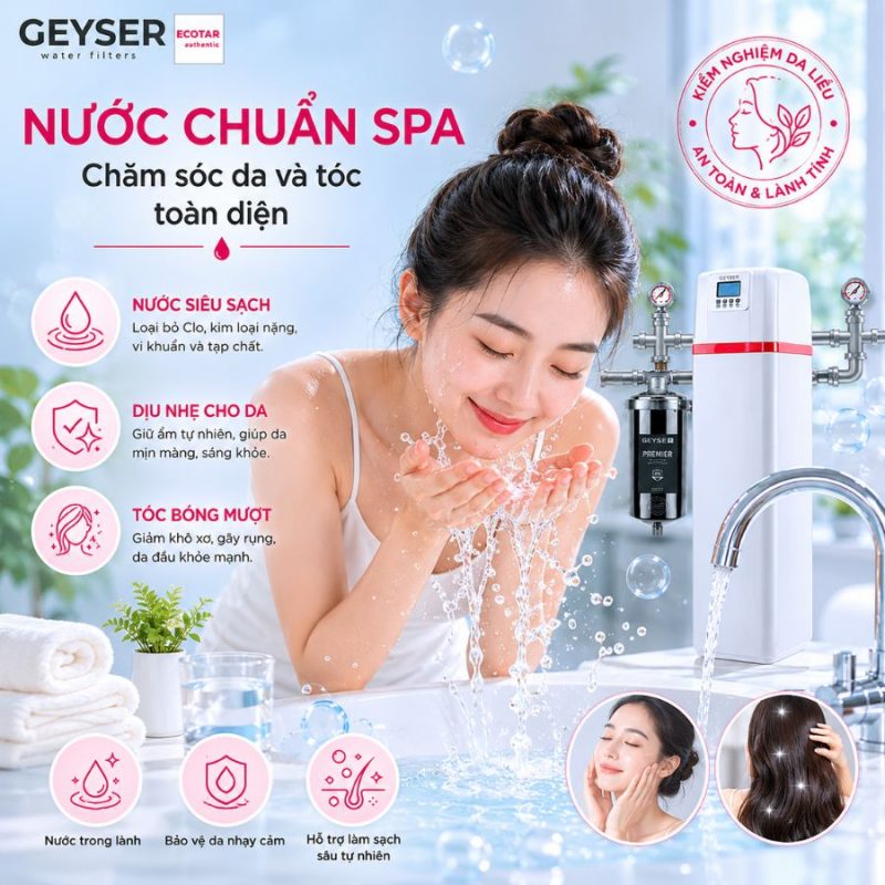 Lọc tổng đầu nguồn Geyser Ecotar 1F10F Smart