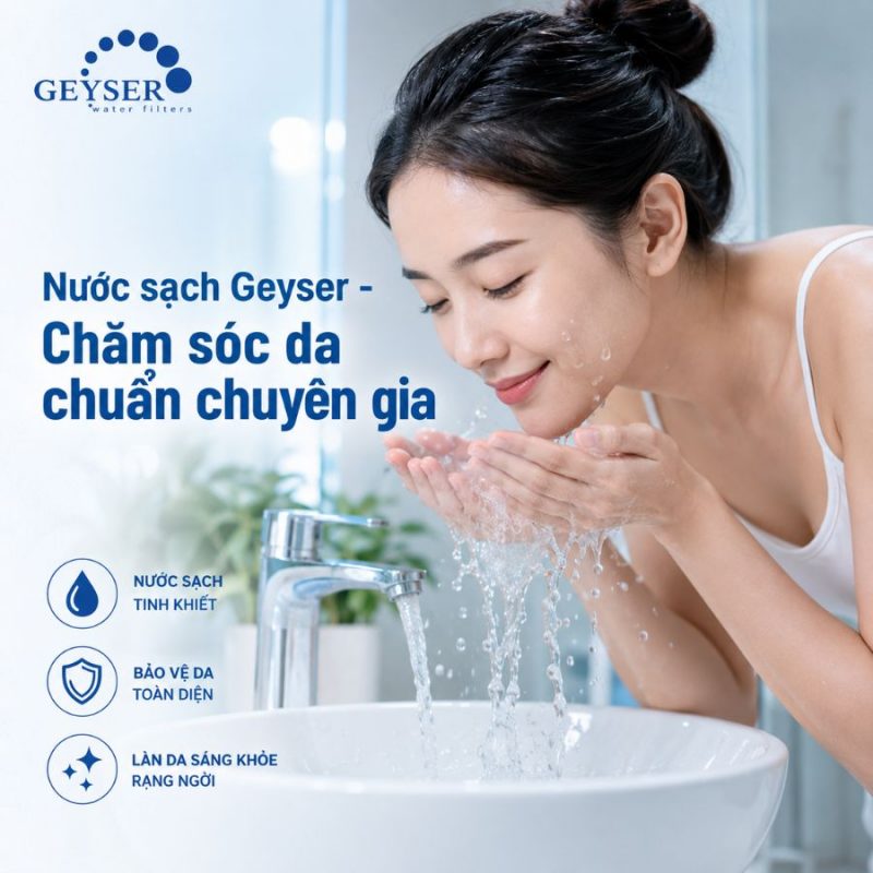 Lọc tổng đầu nguồn Geyser Ecotar 1F10S Smart