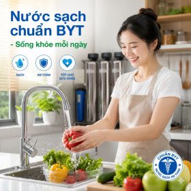 Bộ lọc tổng đầu nguồn gia đình KG1054TL3-INOX, Van tự động, Xử lý Canxi